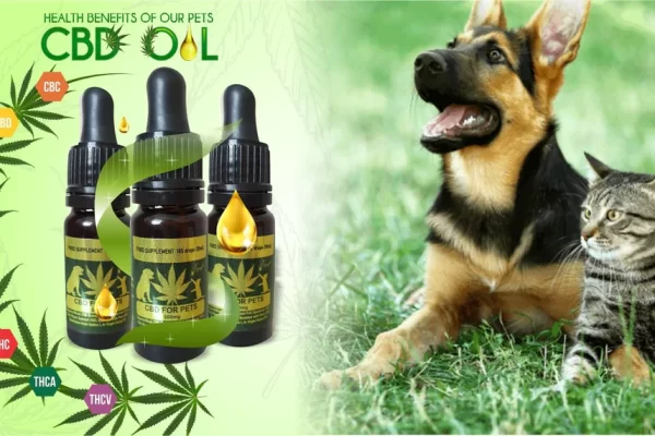 CBD dog oil