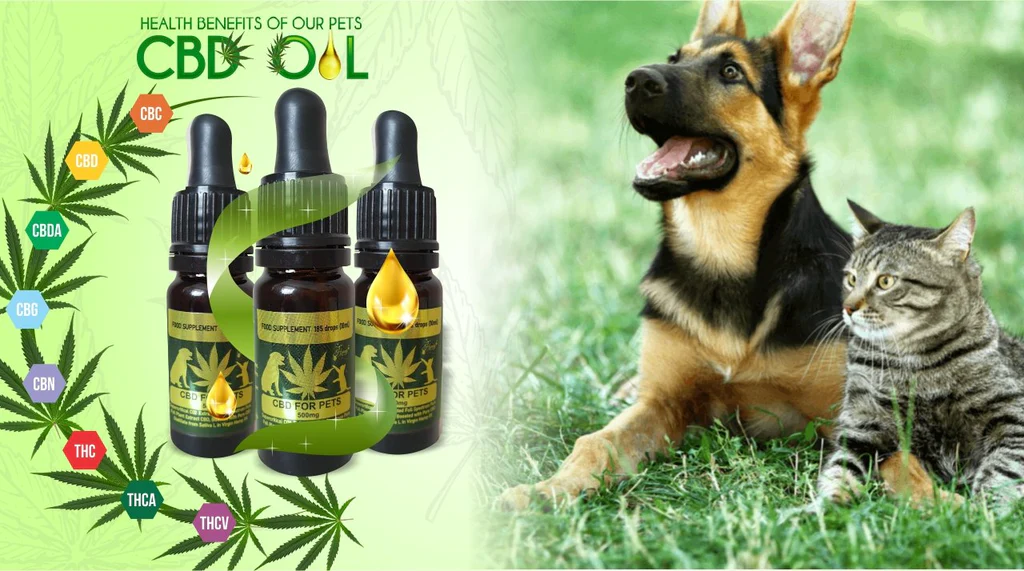 CBD dog oil